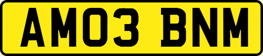 AM03BNM