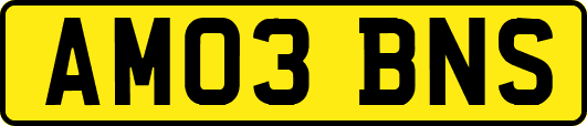 AM03BNS