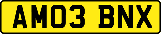 AM03BNX