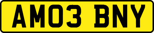 AM03BNY