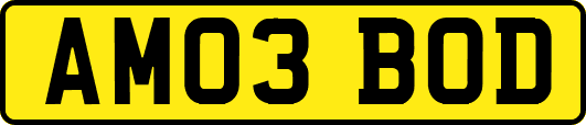 AM03BOD