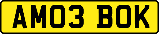 AM03BOK