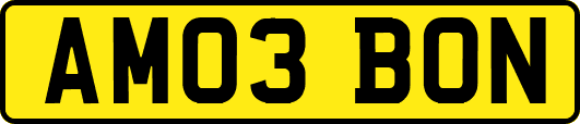 AM03BON