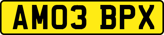 AM03BPX