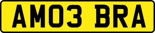 AM03BRA