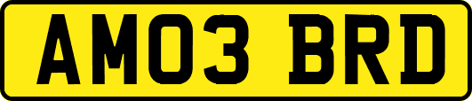 AM03BRD