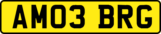 AM03BRG