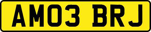 AM03BRJ