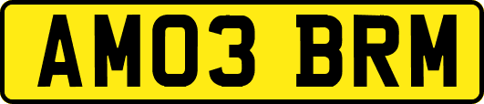 AM03BRM