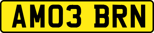 AM03BRN