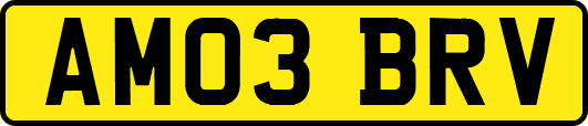 AM03BRV