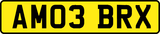AM03BRX