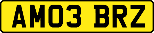 AM03BRZ