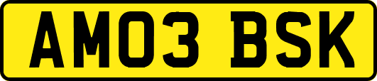 AM03BSK