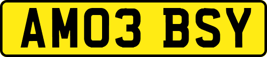 AM03BSY