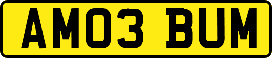 AM03BUM