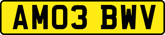 AM03BWV