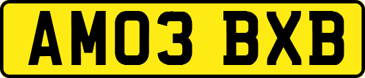 AM03BXB