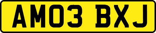 AM03BXJ