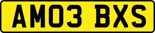 AM03BXS