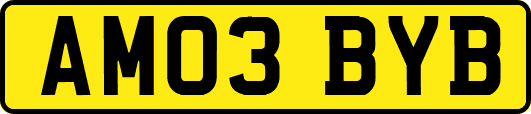 AM03BYB