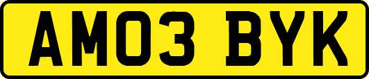AM03BYK