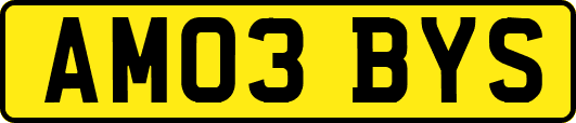 AM03BYS