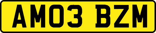 AM03BZM