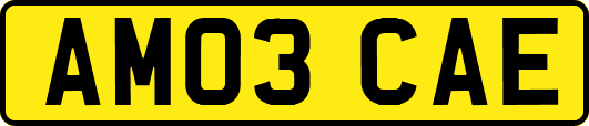 AM03CAE