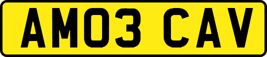 AM03CAV