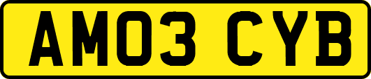 AM03CYB