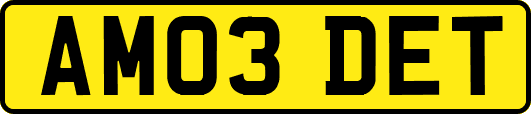 AM03DET