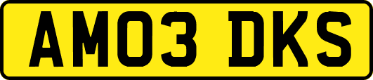 AM03DKS