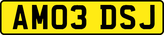 AM03DSJ