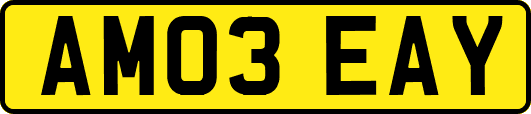 AM03EAY