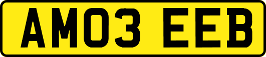 AM03EEB