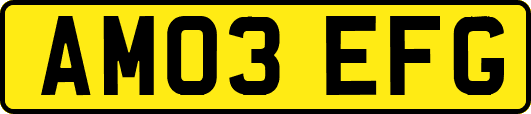 AM03EFG
