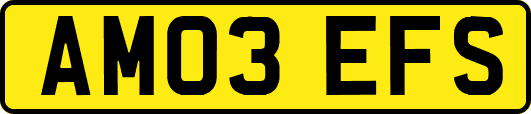 AM03EFS
