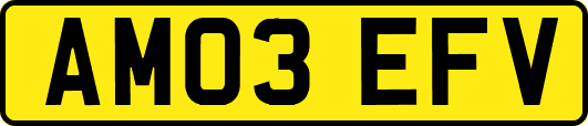 AM03EFV