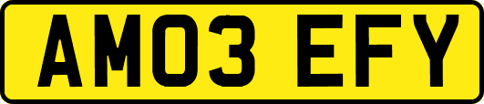 AM03EFY