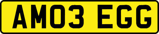 AM03EGG
