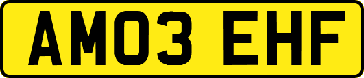AM03EHF