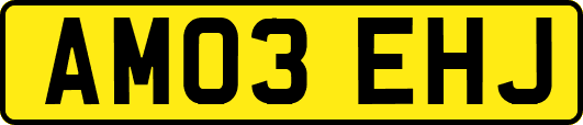 AM03EHJ