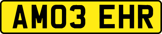 AM03EHR