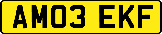 AM03EKF