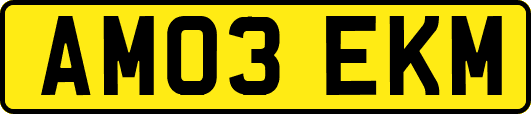 AM03EKM