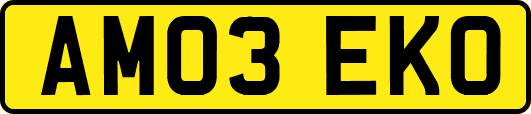 AM03EKO