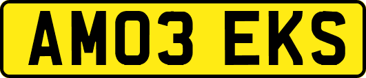 AM03EKS