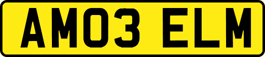 AM03ELM