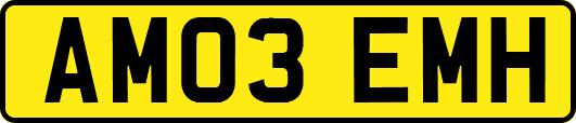 AM03EMH